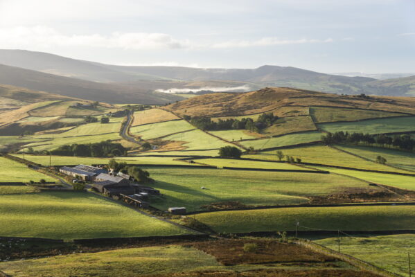 Higher Taxes And Lower Profits Drive Supply Of Farmland For Sale To Five-Year High