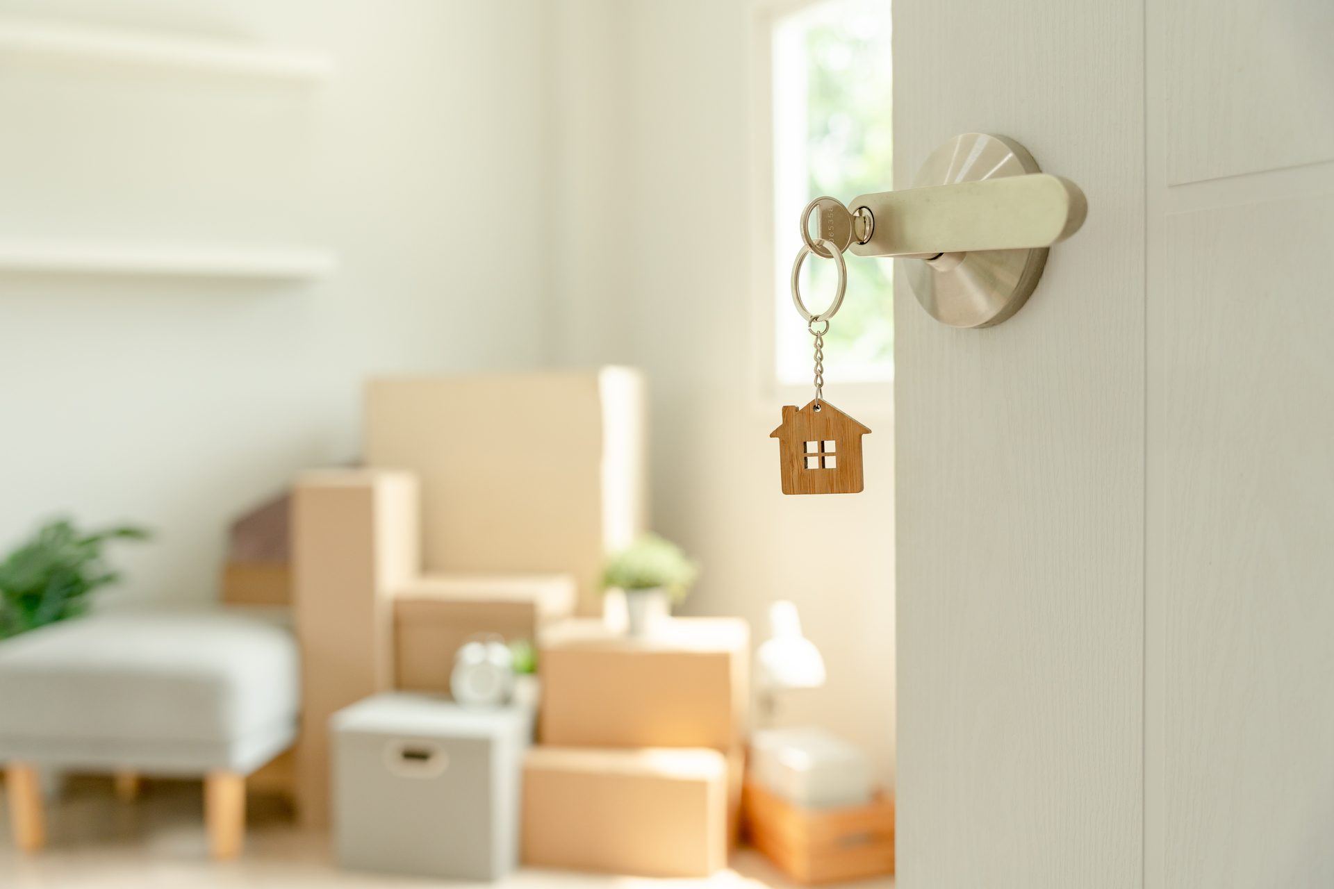 Why Belfast Movers Should Leave the Heavy Lifting to the Experts